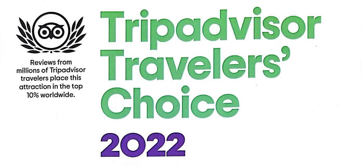 CamScanner 08-29-2022 10.44_1 text