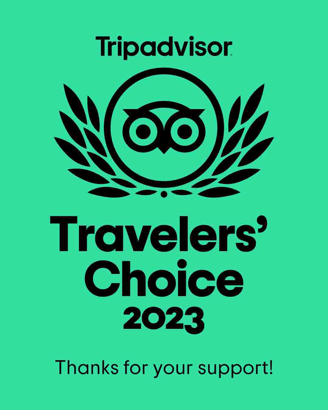 tripadvisor2023 text